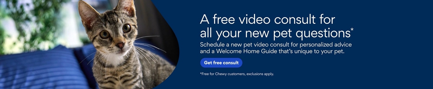 A free video consult for all your new pet questions* Schedule a new pet video consult for personalized advice and a Welcome Home Guide that's unique to your pet. Get free consult. *Free for Chewy customers, exclusions apply.