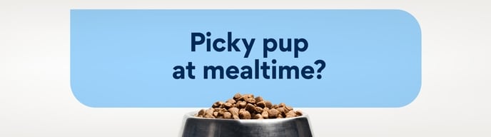 Picky pup at mealtime?