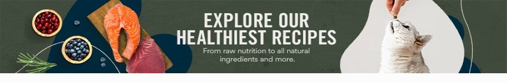 Explore our healthiest recipes. From raw nutrition to all natural ingredients and more.