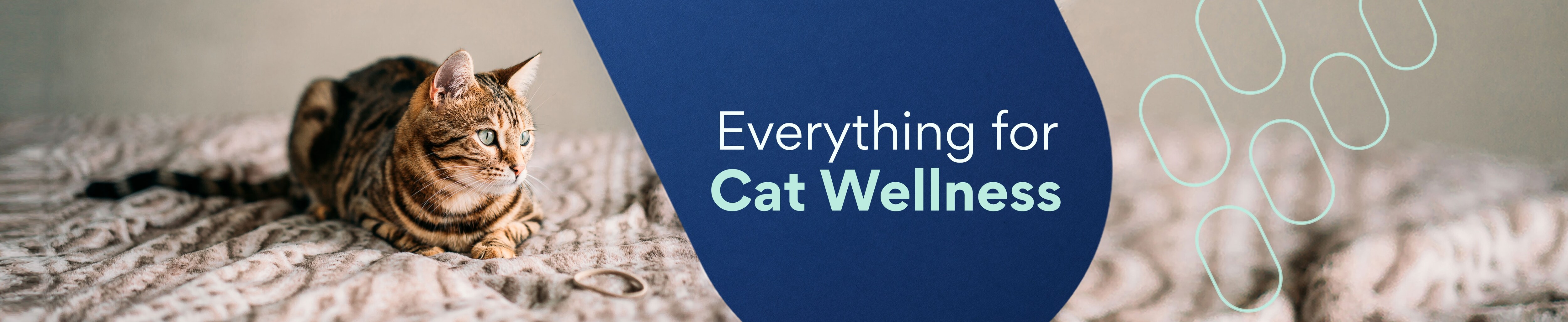 everything for cat wellness