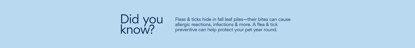 Fleas and ticks hide in fall leaf piles - their bites can cause allergic reactions, infections & more. A flea & tick preventative can help protect your pet year round.