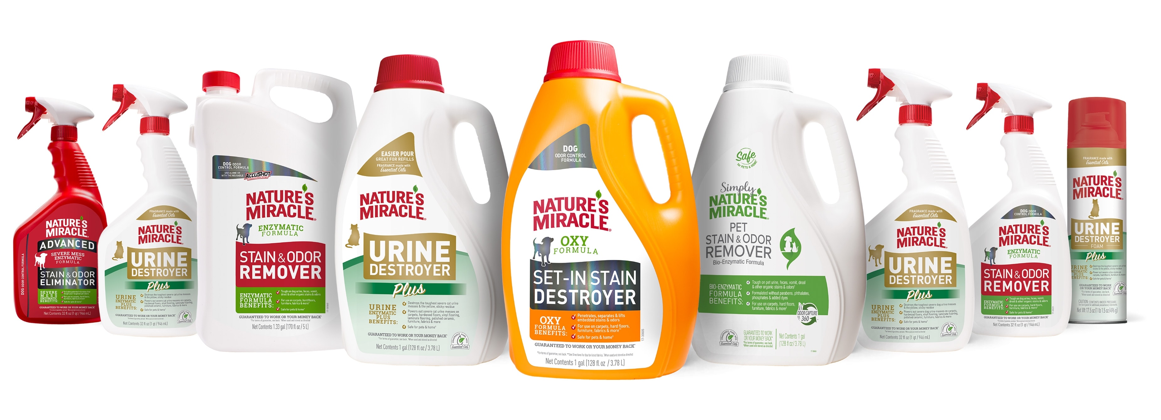 NATURE'S MIRACLE Advanced Dog Enzymatic Stain Remover & Odor Eliminator  Spray, 32-oz bottle 