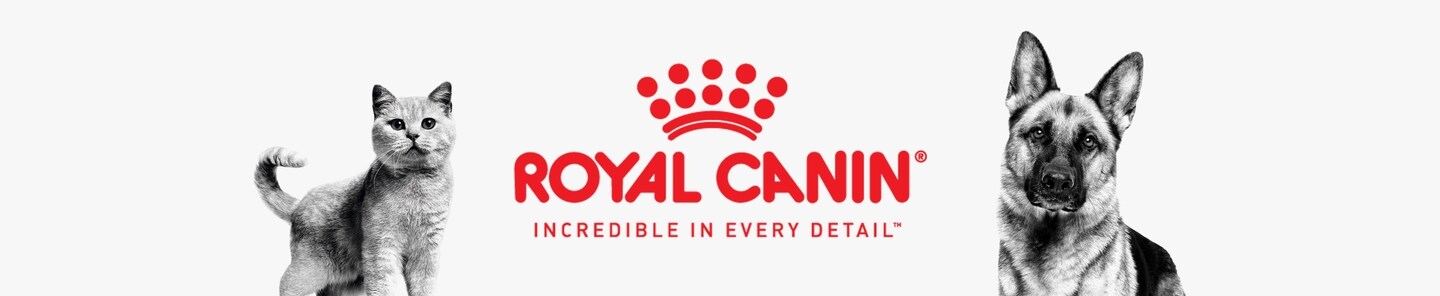 Royal Cain. Incredible in every detail.