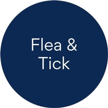 Dog Prescription Flea & Tick