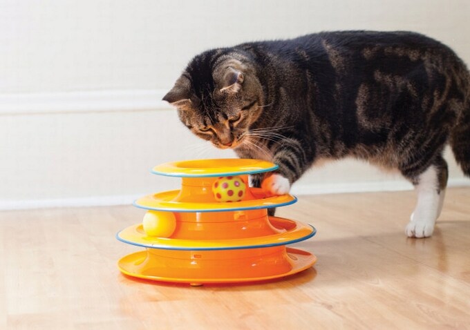 Petstages Tower of Tracks Ball and Track Interactive Toy for Cats Fun Cat Game 