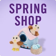 Spring Shop