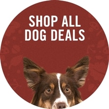 Shop All Dog Deals