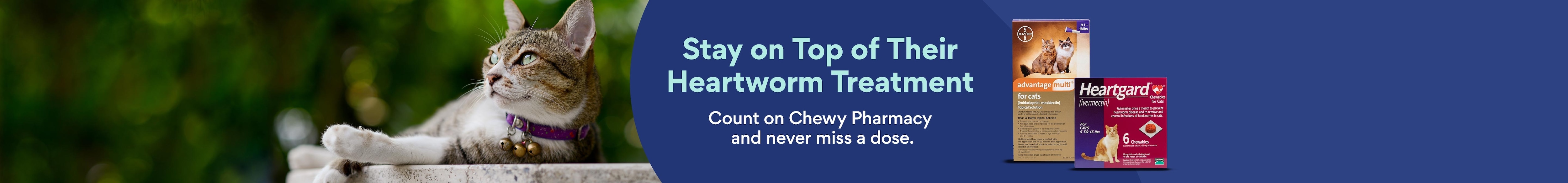 Stay on top of their heartworm treatment Count on Chewy Pharmacy and never miss a dose