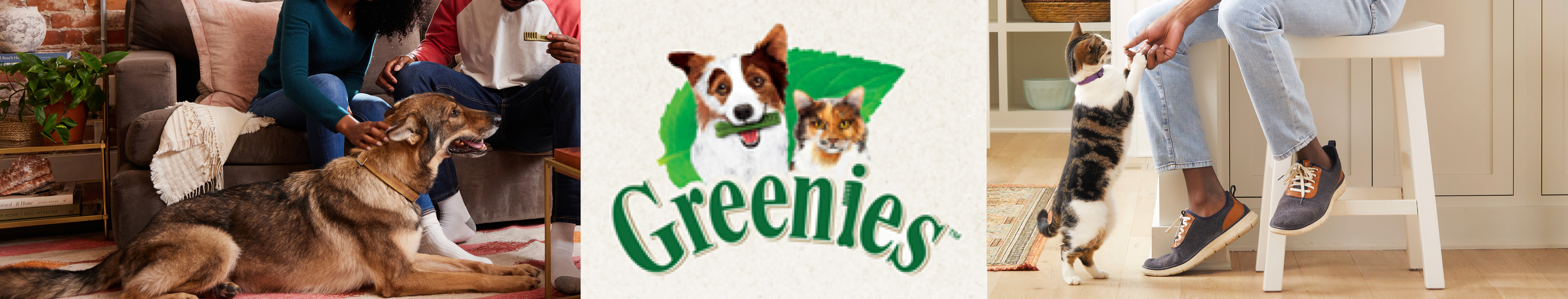 are greenies safe for dogs 2018