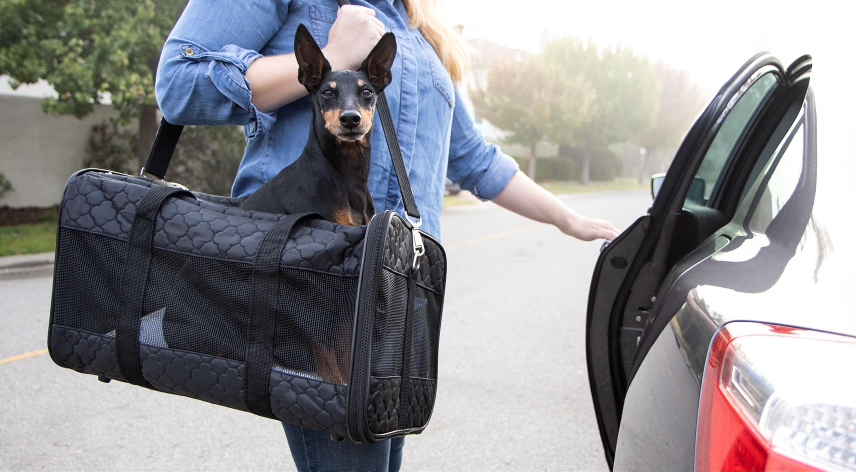Sherpa Travel Ultimate On Wheels Airline Approved Pet Carrier