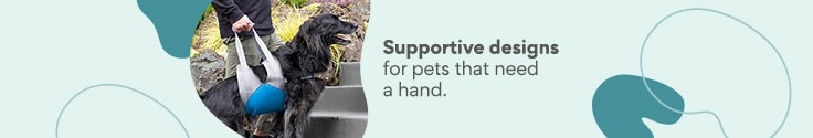 Supportive designs for pets that need a hand.