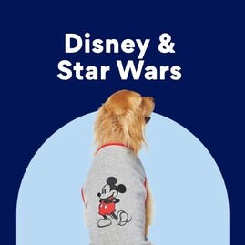 Disney & Star Wars