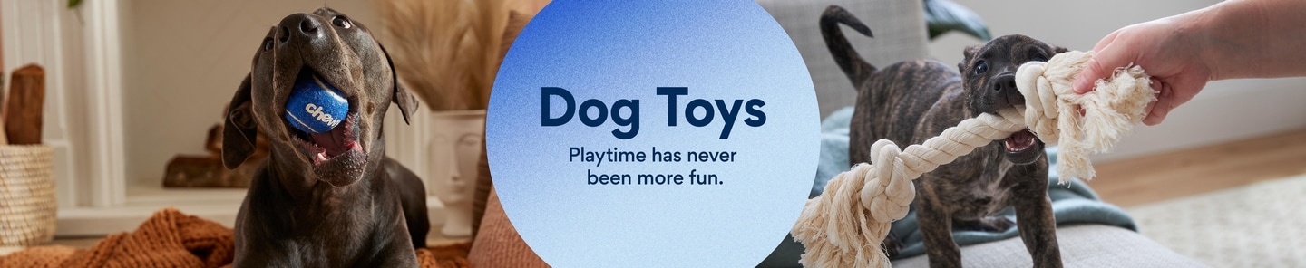 dog toys. playtime has never been more fun.