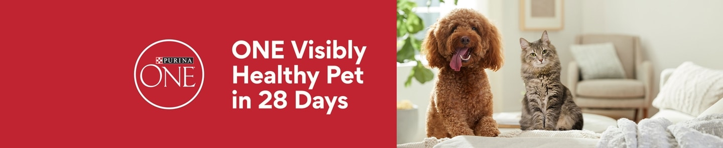 Purina One One visibly healthy pet in 28 days
