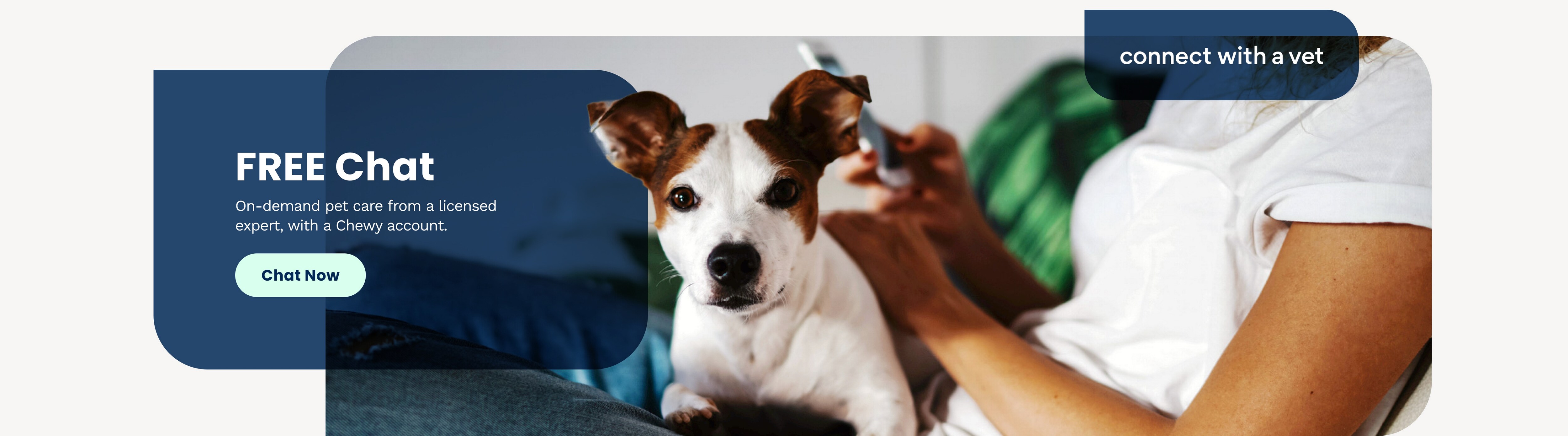 Connect With a Vet - Free Online Vet Chat | Chewy
