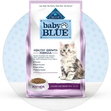 Baby Blue Kitten