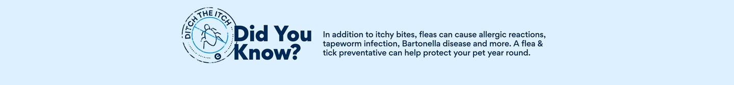 Did you know? In addition to itchy bites, fleas can cause allergic reactions, tapeworm infections, Bartonella disease and more. A flea and tick preventative can help protect your pet year round.