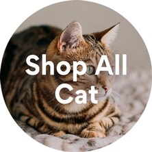 Shop All Cat Prescription