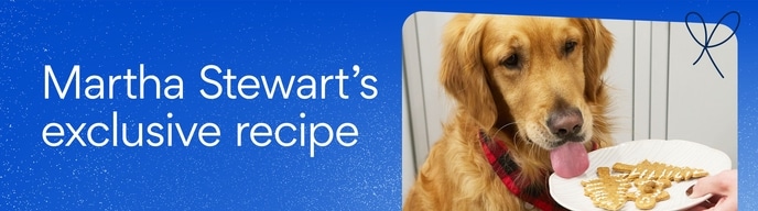 Martha Stewart's exclusive recipe