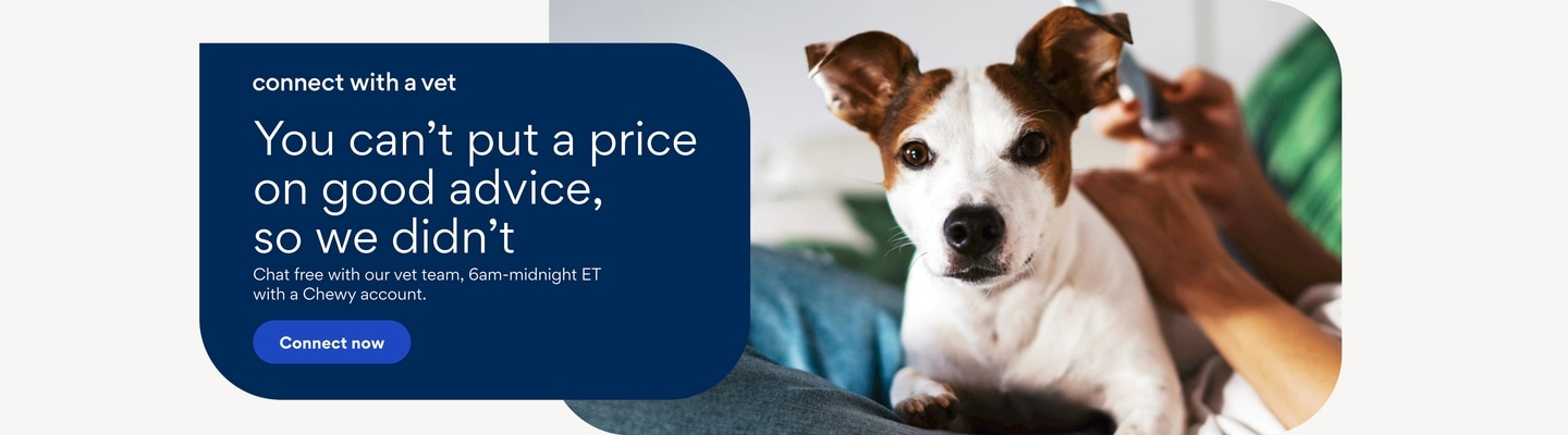 connect with a vet. You can't put a price on good advice so we didn't. Chat free with our vet team. 6am-midnight ET with a Chewy account. Connect Now