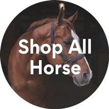 Shop All Prescription Horse