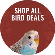 Shop All Bird Deals