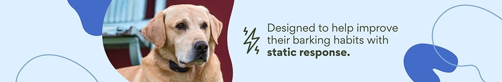 Designed to help improve their barking habits with static response.