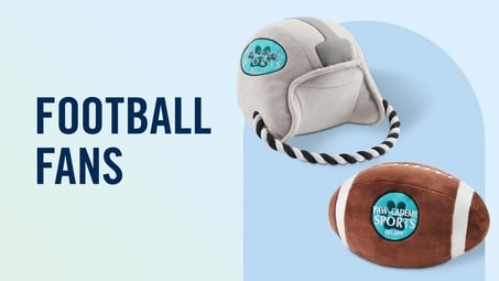 Football fans. Touchdown toys and accessories