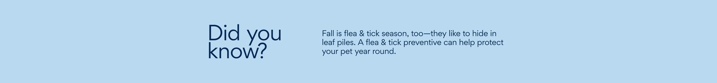 Did you know? Fall is flea and tick season, too - they like to hide in leaf piles. A flea and tick preventative can help protect your pet year round.