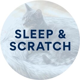 Sleep & Scratch