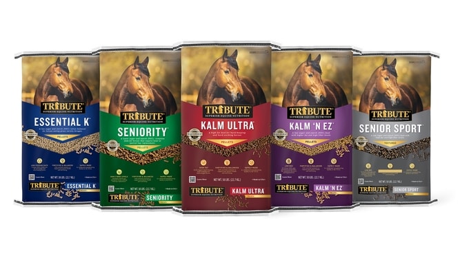 TRIBUTE EQUINE NUTRITION Constant Comfort Plus Gut Health Horse Supplement,  40-lbs bag 