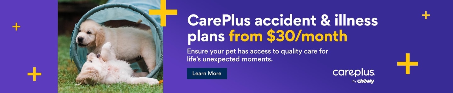Careplus accident & illness plans from $30/month. Ensure your pet has access to quality care for life's unexpected moments. Careplus by Chewy. Learn More.