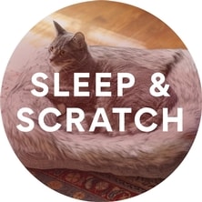 Sleep & Scratch