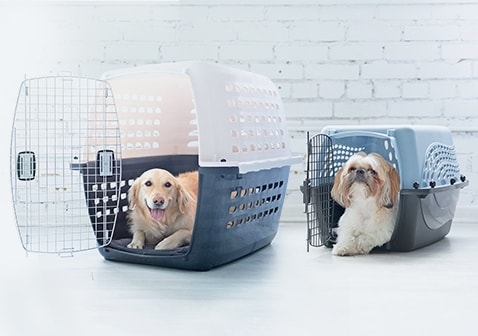 PETMATE – Vari Kennel, Large Portable Plastic Pet Crate 36″x25″x27