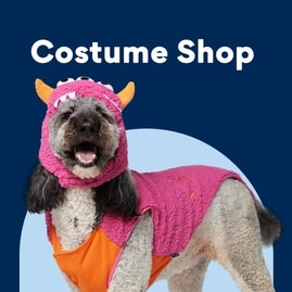 Philadelphia Eagles Dog Puffer Vest – Paw Dazzle Pet Bakery and