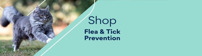 Shop Flea & Tick