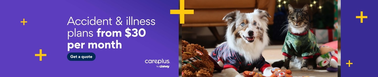CarePlus by Chewy. Accident & illness plans from $30 per month. Get a Quote.