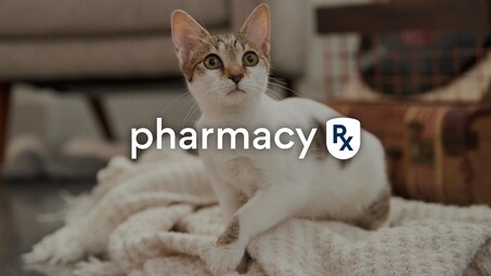 Cat Pharmacy