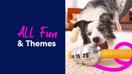 all fun and themes