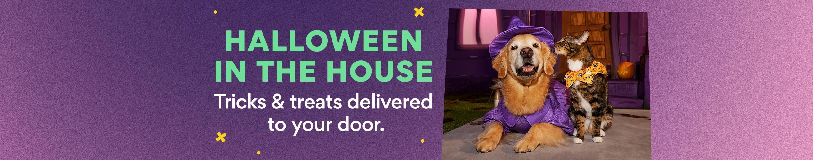 halloween in the house. tricks and treats delivered to your door