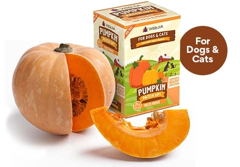 Pumpkin Puree Digestive Supplement Pouches For Dogs & Cats Weruva Pumpkin Patch Up 