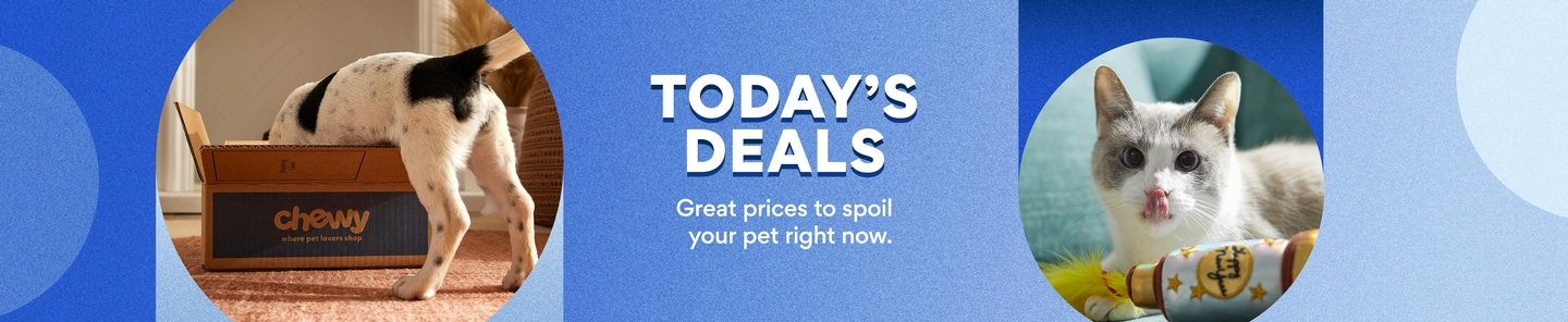 Today's Deals. Great prices to spoil your pet right now