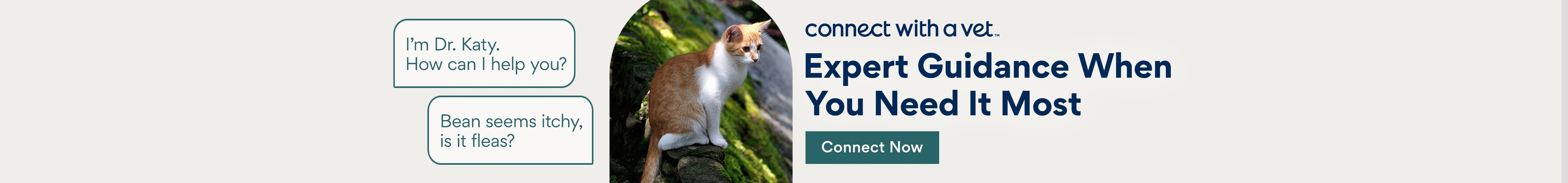 Expert Guidance When You Need it Most. Connect Now.