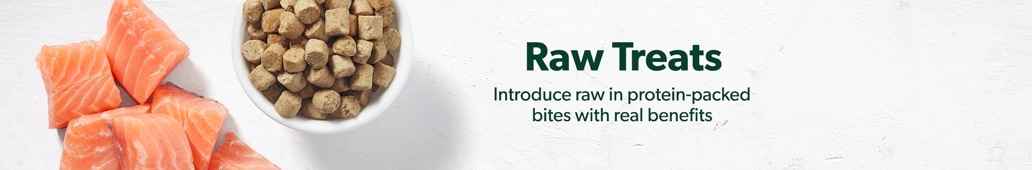 Raw Treats. Introduce raw in protein-packed bites with real benefits.