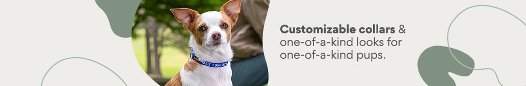 customizable collars & one-of-a-kind looks for one-of-a-kind pups.
