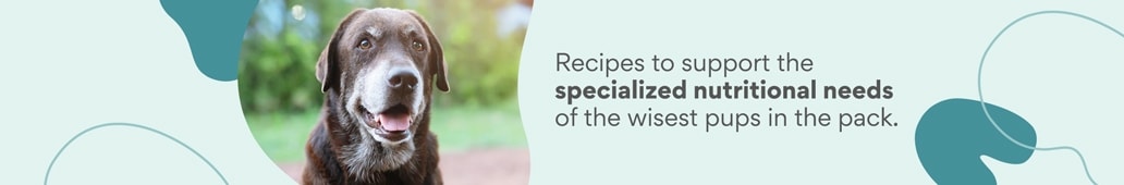 Recipes to support the specialized nutritional needs of the wisest pups in the pack.