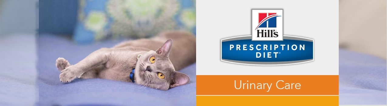 HILL'S PRESCRIPTION DIET c/d Multicare Urinary Care with Chicken Wet Cat Food, case of 24 -