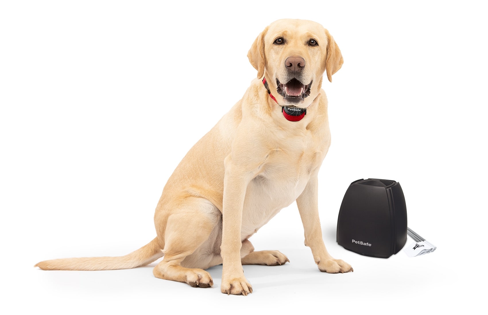 PETDIARY GPS Wireless Fence System Dog Tracker, Black, Medium