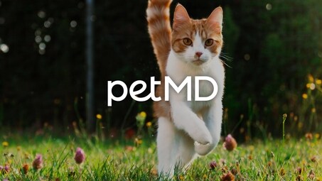 PetMD