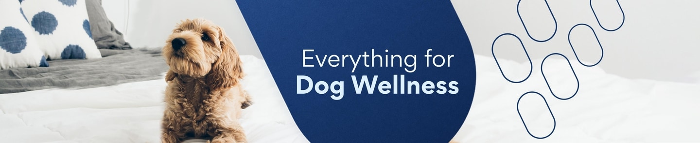 everything for dog wellness